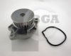 BGA CP3162 Water Pump